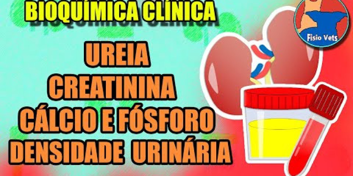 Plaquetas en perros: cuándo y por qué son altas o bajas Posibles casos