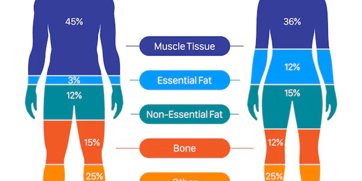 Human body Organs, Systems, Structure, Diagram, & Facts