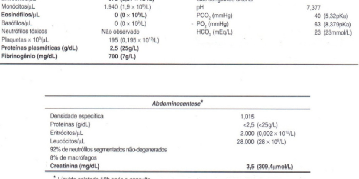 Reading Lab Results for Your Dog's Blood Work: The Pet Owner Guide