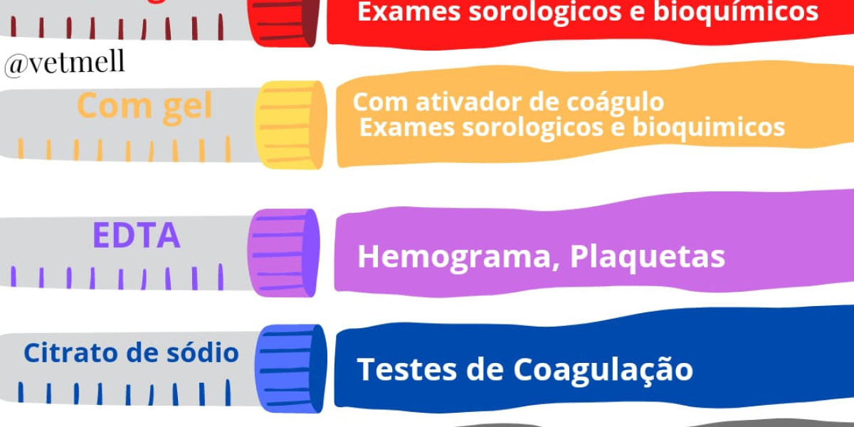 Raio X de Cachorro: Quanto Tempo Realmente Leva para o Exame?