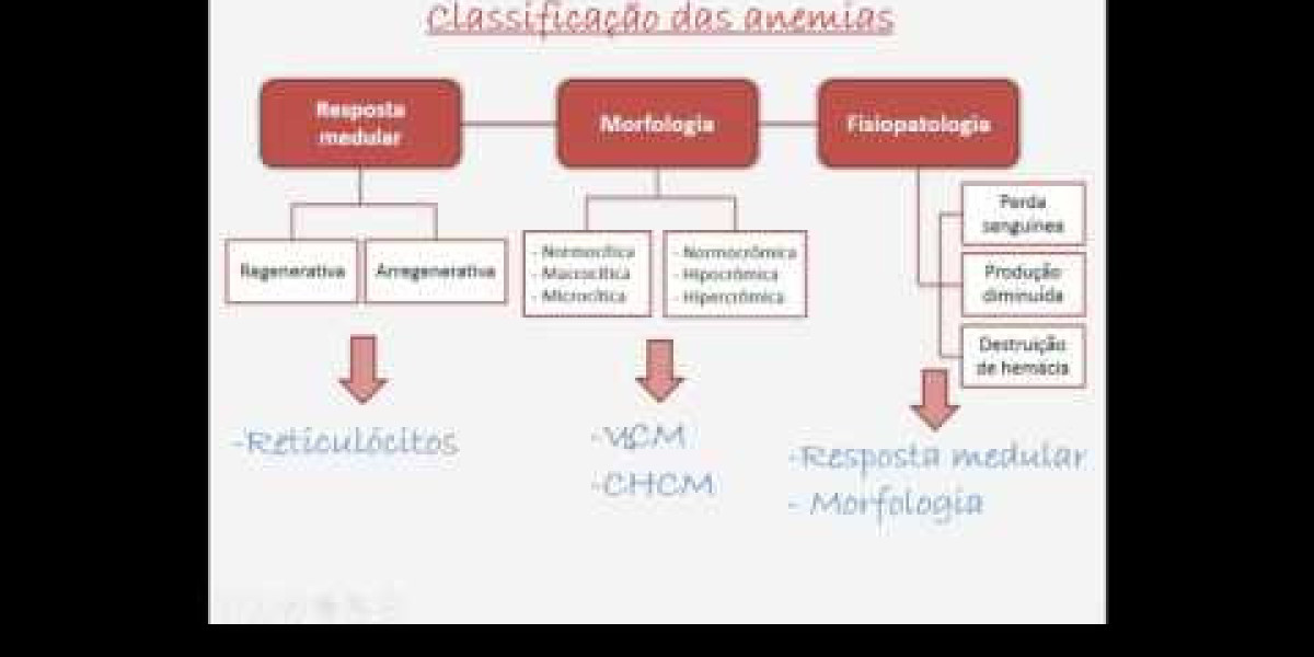 Understanding Normal VS Abnormal Echocardiogram Results