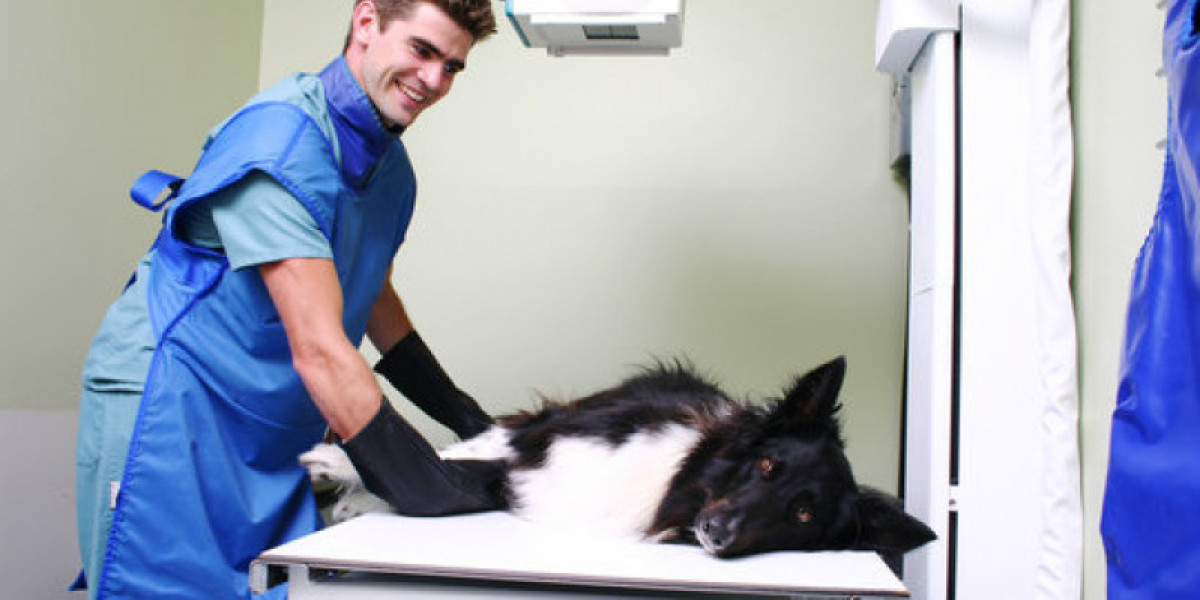 Patrones pulmonares en radiografía torácica de perro y gato