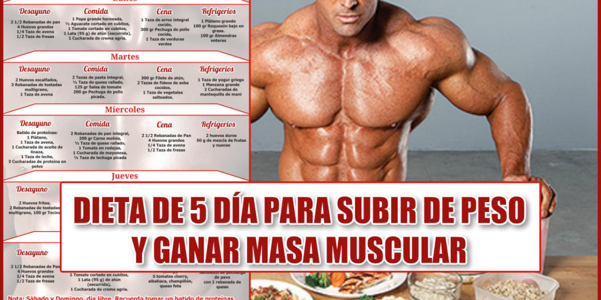 12 preguntas respondidas con respecto a la vitamina B12 Centro de Estudios en Nutrición