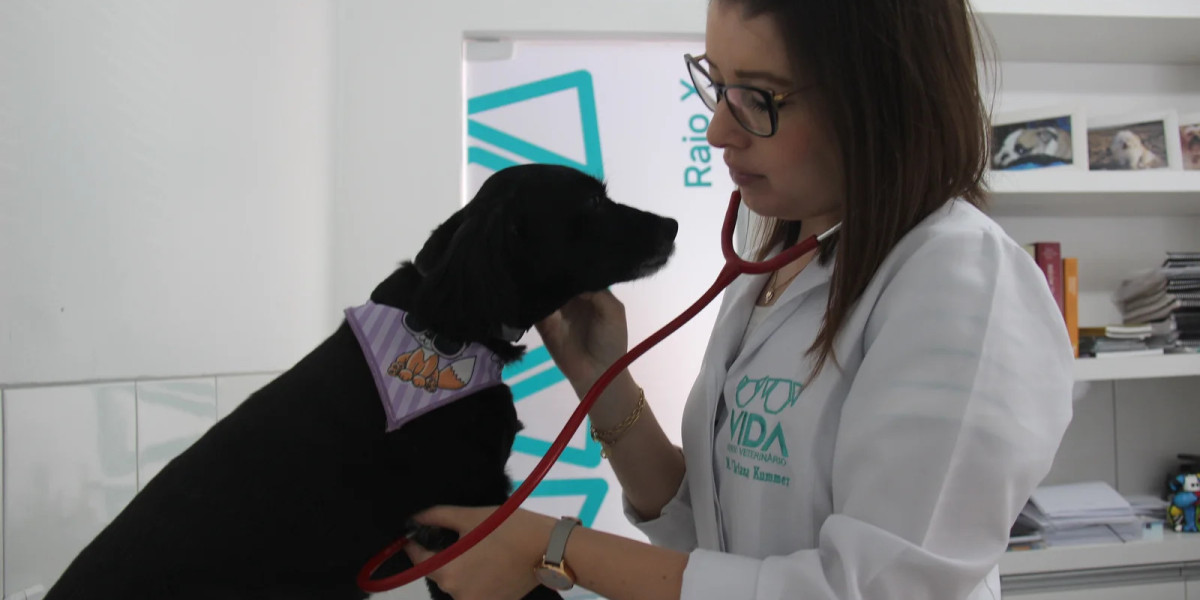 Centro de Diagnóstico por Imagen Veterinaria